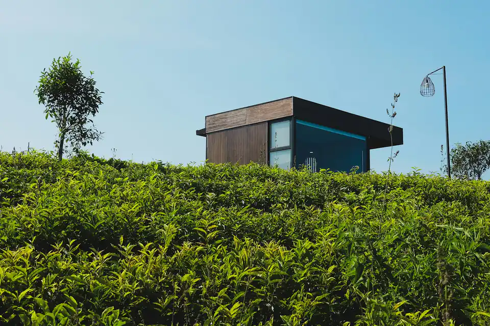 Flat-roof modern garden room, design inspiration for garden rooms in Newcastle Flat-roof modern garden room above a garden hedge, a design idea for Newcastle gardens